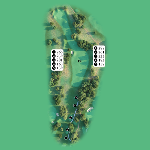 Hole 8